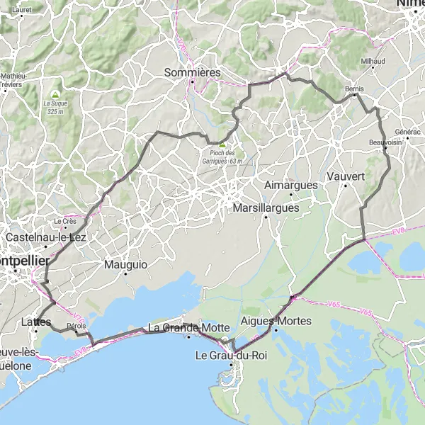Map miniature of "Lattes to Observatoire ornithologique via Aigues-Mortes" cycling inspiration in Languedoc-Roussillon, France. Generated by Tarmacs.app cycling route planner