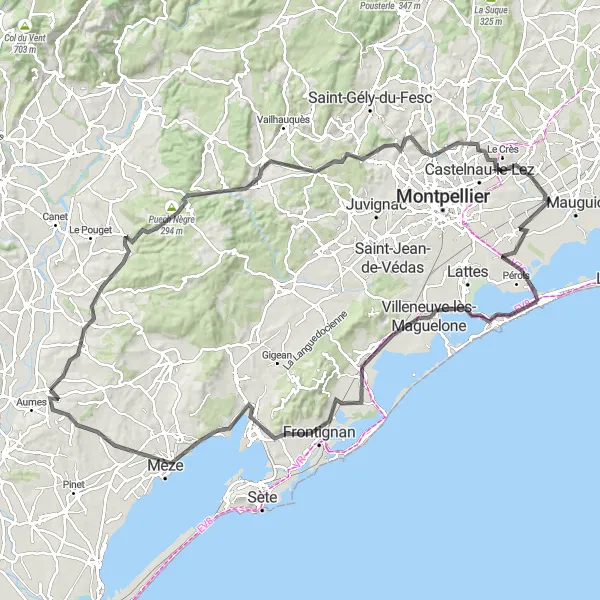 Miniature de la carte de l'inspiration cycliste "Les collines de l'Hérault" dans la Languedoc-Roussillon, France. Générée par le planificateur d'itinéraire cycliste Tarmacs.app