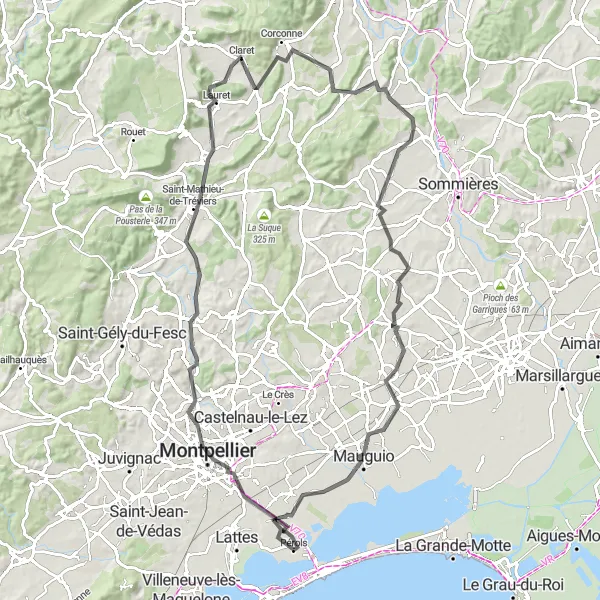 Map miniature of "Montpellier Loop" cycling inspiration in Languedoc-Roussillon, France. Generated by Tarmacs.app cycling route planner