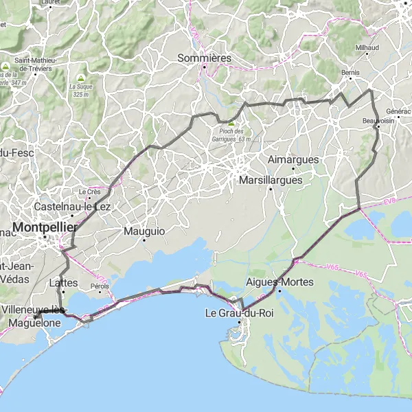 Map miniature of "The Coastal Birds Route" cycling inspiration in Languedoc-Roussillon, France. Generated by Tarmacs.app cycling route planner
