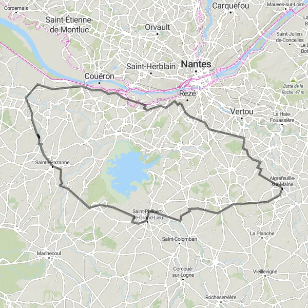 Map miniature of "Aigrefeuille-sur-Maine and Surroundings" cycling inspiration in Pays de la Loire, France. Generated by Tarmacs.app cycling route planner