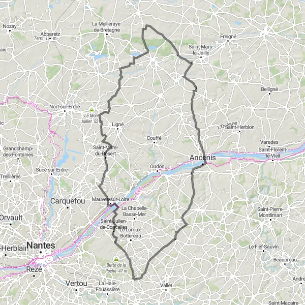 Map miniature of "Ancenis and Bonnœuvre Loop" cycling inspiration in Pays de la Loire, France. Generated by Tarmacs.app cycling route planner