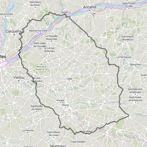 Miniature de la carte de l'inspiration cycliste "Boucle des Vignobles" dans la Pays de la Loire, France. Générée par le planificateur d'itinéraire cycliste Tarmacs.app