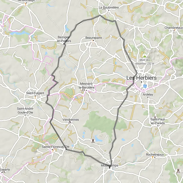 Map miniature of "The Oie Loop" cycling inspiration in Pays de la Loire, France. Generated by Tarmacs.app cycling route planner