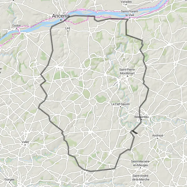 Map miniature of "Ancenis Loop via Beaupréau and La Renaudière" cycling inspiration in Pays de la Loire, France. Generated by Tarmacs.app cycling route planner