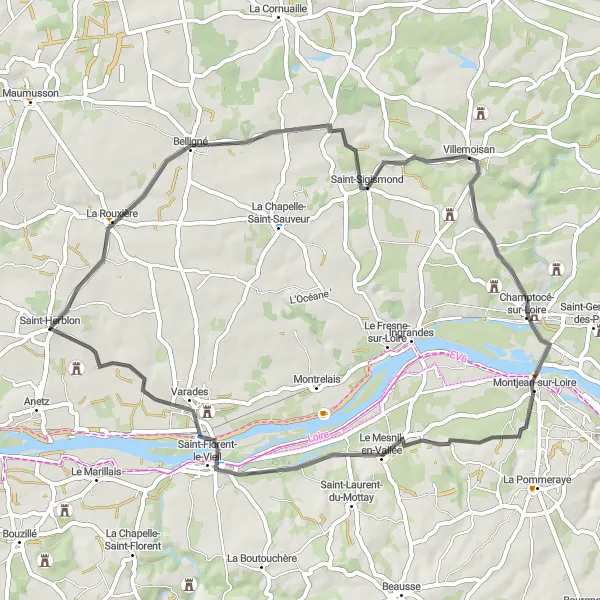 Map miniature of "Scenic Route to Villemoisan and Champtocé-sur-Loire" cycling inspiration in Pays de la Loire, France. Generated by Tarmacs.app cycling route planner