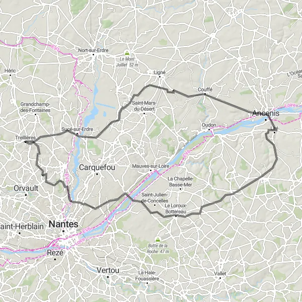 Miniature de la carte de l'inspiration cycliste "Boucle de 101 km depuis Treillières via Sucé-sur-Erdre et Ancenis" dans la Pays de la Loire, France. Générée par le planificateur d'itinéraire cycliste Tarmacs.app