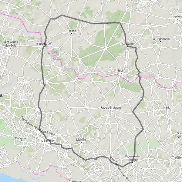 Map miniature of "Vigneux-de-Bretagne to Savenay Loop" cycling inspiration in Pays de la Loire, France. Generated by Tarmacs.app cycling route planner