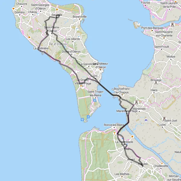 Map miniature of "Island Hopping Adventure" cycling inspiration in Poitou-Charentes, France. Generated by Tarmacs.app cycling route planner