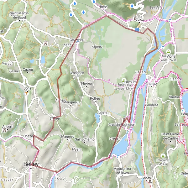 Map miniature of "Countryside Delights" cycling inspiration in Rhône-Alpes, France. Generated by Tarmacs.app cycling route planner