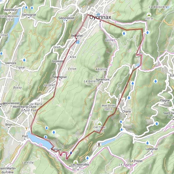 Zemljevid v pomanjšavi "Gravel Nantua Bellignat Crêt Torcet Mont Cornet Les Battoirs" kolesarske inspiracije v Rhône-Alpes, France. Generirano z načrtovalcem kolesarskih poti Tarmacs.app