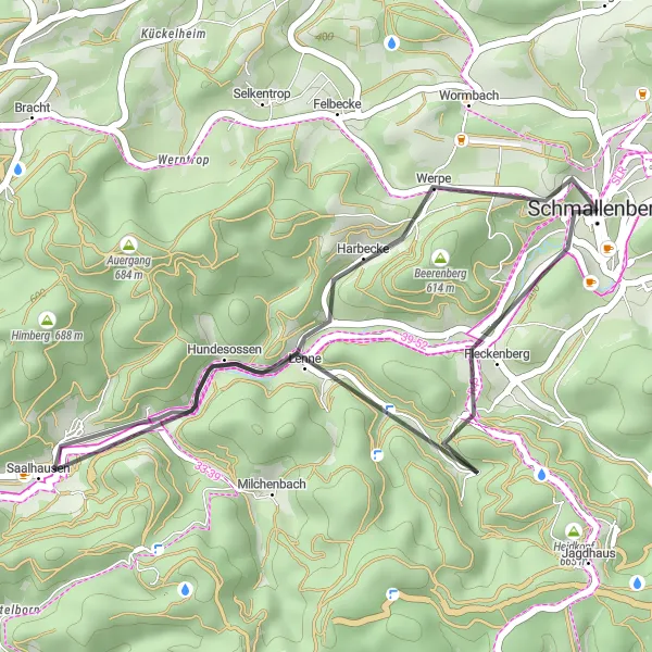 Map miniature of "Schmallenberg - Fleckenberg - Kähling - Beerenberg - Werpe" cycling inspiration in Arnsberg, Germany. Generated by Tarmacs.app cycling route planner