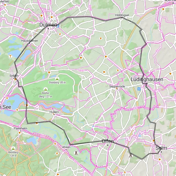 Map miniature of "Road Route from Selm to Vischering Castle" cycling inspiration in Arnsberg, Germany. Generated by Tarmacs.app cycling route planner