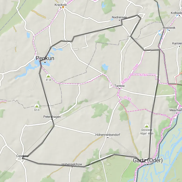 Map miniature of "Penkun - Nadrensee - Geesower Hügel - Gartz (Oder) - Hohenselchow - Penkun" cycling inspiration in Brandenburg, Germany. Generated by Tarmacs.app cycling route planner