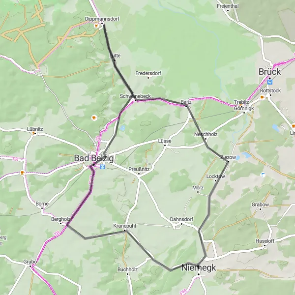 Map miniature of "Niemegk-Katzenberge Loop" cycling inspiration in Brandenburg, Germany. Generated by Tarmacs.app cycling route planner