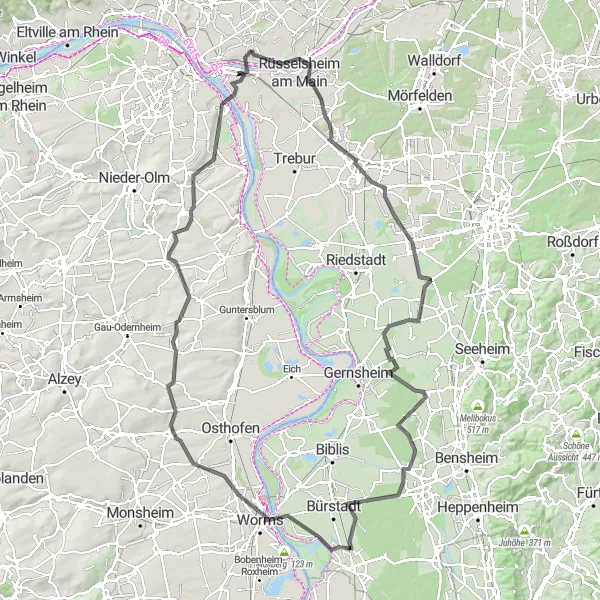 Map miniature of "Hochheim-Worms Loop" cycling inspiration in Darmstadt, Germany. Generated by Tarmacs.app cycling route planner