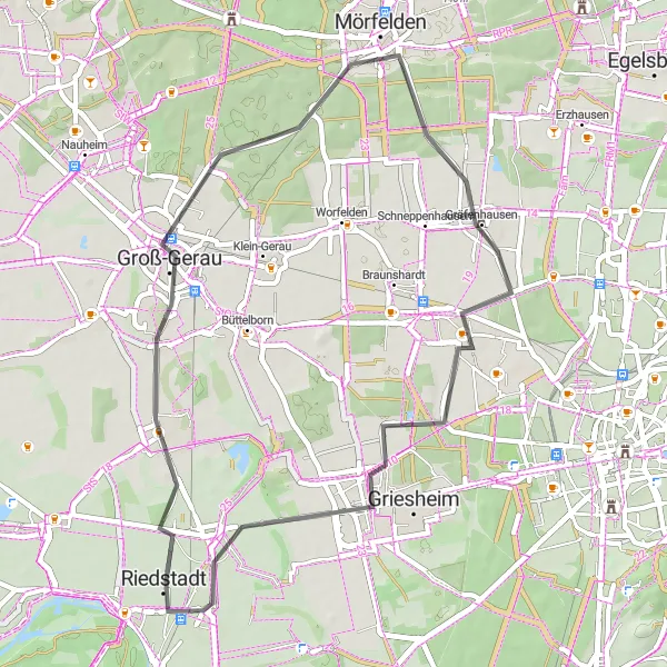 Map miniature of "Riedstadt to Goddelau Route" cycling inspiration in Darmstadt, Germany. Generated by Tarmacs.app cycling route planner