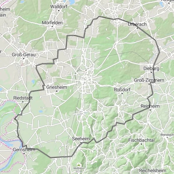 Map miniature of "Rhein Cycle Route" cycling inspiration in Darmstadt, Germany. Generated by Tarmacs.app cycling route planner