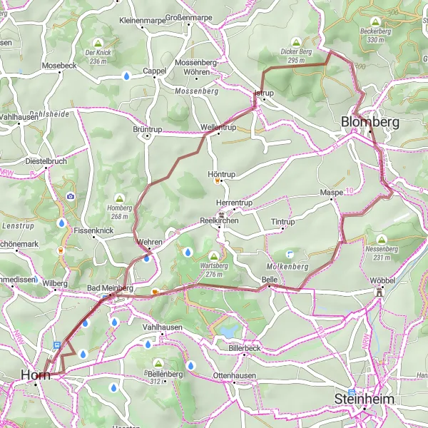 Map miniature of "The Hidden Treasures of Wellentrup and Drawenberg" cycling inspiration in Detmold, Germany. Generated by Tarmacs.app cycling route planner