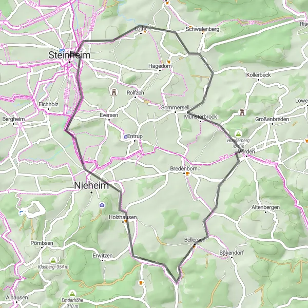 Map miniature of "Steinheim Loop" cycling inspiration in Detmold, Germany. Generated by Tarmacs.app cycling route planner