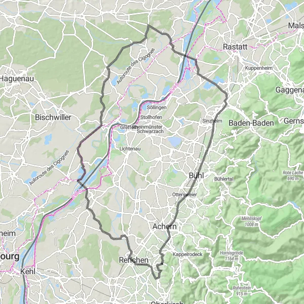 Karten-Miniaturansicht der Radinspiration "Rheinebene Erkundungstour" in Freiburg, Germany. Erstellt vom Tarmacs.app-Routenplaner für Radtouren