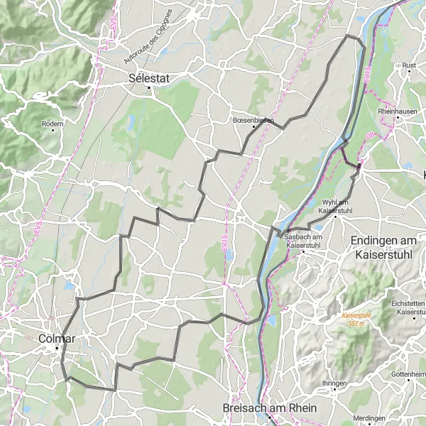 Map miniature of "The Vineyard Discovery Trail" cycling inspiration in Freiburg, Germany. Generated by Tarmacs.app cycling route planner