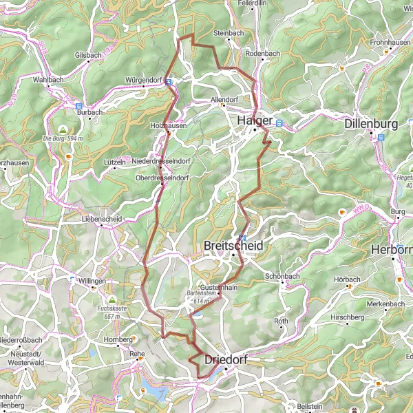 Map miniature of "Wilder Stein Adventure" cycling inspiration in Gießen, Germany. Generated by Tarmacs.app cycling route planner