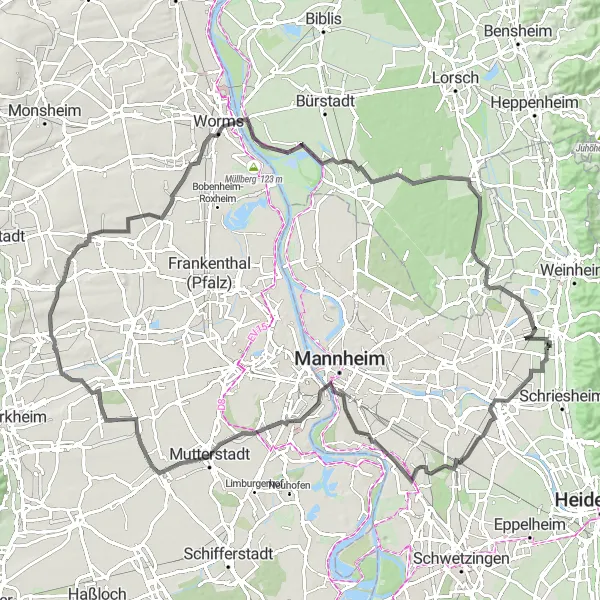 Map miniature of "Riverside Ride" cycling inspiration in Karlsruhe, Germany. Generated by Tarmacs.app cycling route planner