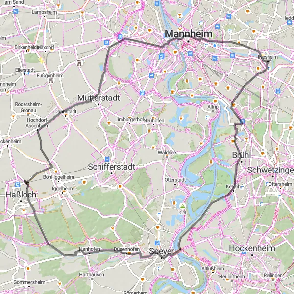 Map miniature of "The Rhine River Loop" cycling inspiration in Karlsruhe, Germany. Generated by Tarmacs.app cycling route planner