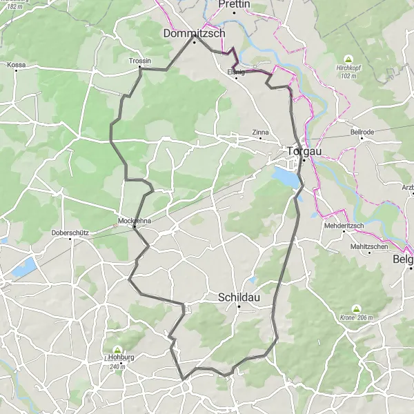 Map miniature of "Torgau Circular Road Cycling Route" cycling inspiration in Leipzig, Germany. Generated by Tarmacs.app cycling route planner