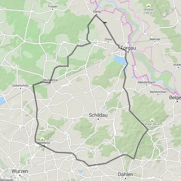 Map miniature of "Torgau and Hohburg Circuit" cycling inspiration in Leipzig, Germany. Generated by Tarmacs.app cycling route planner