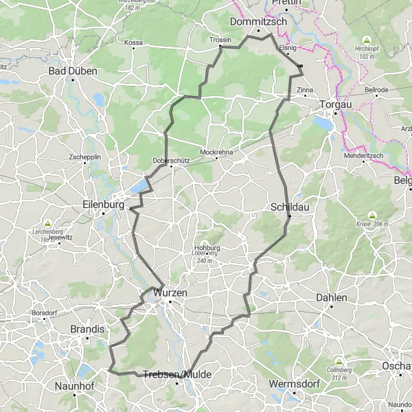 Map miniature of "Elsnig Wine Roads" cycling inspiration in Leipzig, Germany. Generated by Tarmacs.app cycling route planner