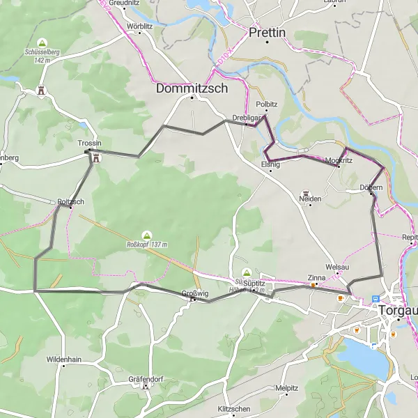 Karten-Miniaturansicht der Radinspiration "Rundtour von Trossin nach Elsnig" in Leipzig, Germany. Erstellt vom Tarmacs.app-Routenplaner für Radtouren
