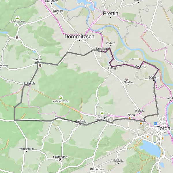 Map miniature of "Elsnig Loop" cycling inspiration in Leipzig, Germany. Generated by Tarmacs.app cycling route planner