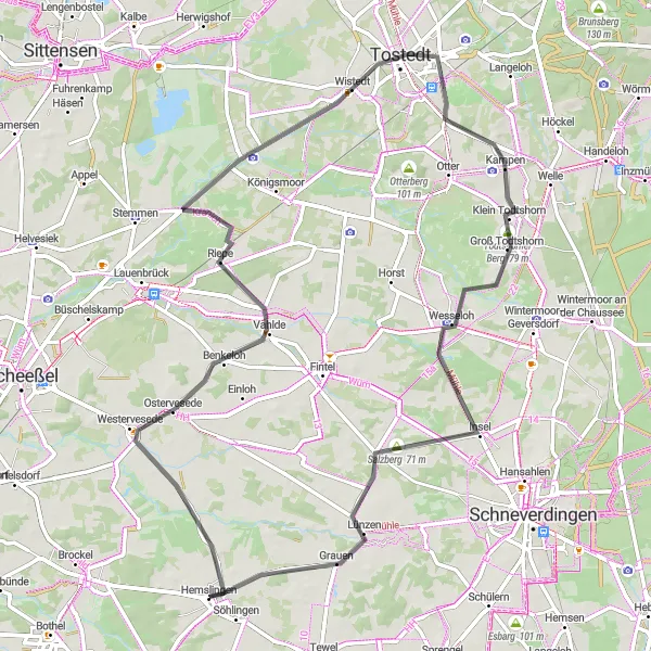 Map miniature of "Discovering the Natural Wonders of Lüneburg" cycling inspiration in Lüneburg, Germany. Generated by Tarmacs.app cycling route planner