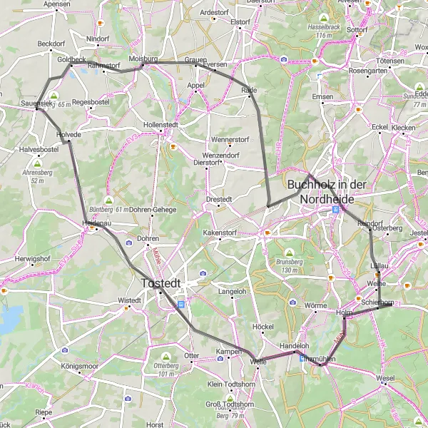 Map miniature of "The Litberg Loop" cycling inspiration in Lüneburg, Germany. Generated by Tarmacs.app cycling route planner