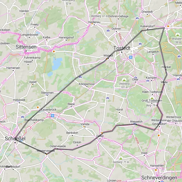 Map miniature of "Stemmen and Beyond" cycling inspiration in Lüneburg, Germany. Generated by Tarmacs.app cycling route planner
