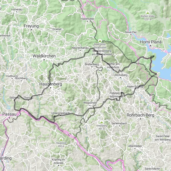 Map miniature of "The Ultimate Cycling Challenge: Legendary Tours of Salzweg" cycling inspiration in Niederbayern, Germany. Generated by Tarmacs.app cycling route planner