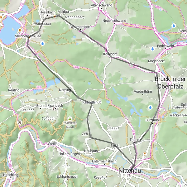 Map miniature of "Platte and Steinberg am See Road Cycling" cycling inspiration in Oberpfalz, Germany. Generated by Tarmacs.app cycling route planner