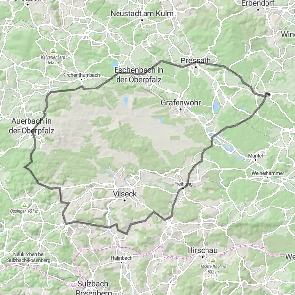 Map miniature of "Parkstein Century" cycling inspiration in Oberpfalz, Germany. Generated by Tarmacs.app cycling route planner