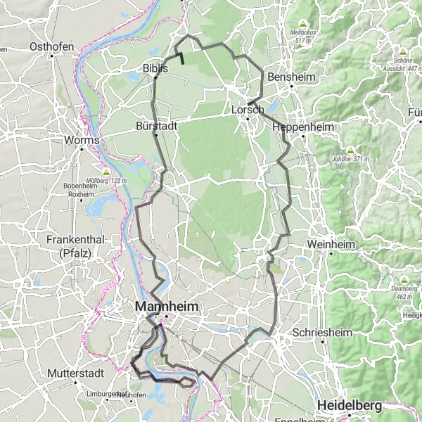 Map miniature of "Bürstadt Adventure" cycling inspiration in Rheinhessen-Pfalz, Germany. Generated by Tarmacs.app cycling route planner