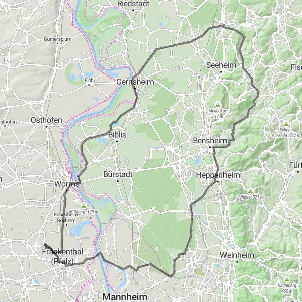 Karten-Miniaturansicht der Radinspiration "Panorama-Tour durch Rheinhessen und Pfalz" in Rheinhessen-Pfalz, Germany. Erstellt vom Tarmacs.app-Routenplaner für Radtouren