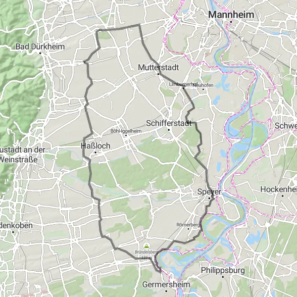 Karten-Miniaturansicht der Radinspiration "Weinberge und Kultur in Rheinhessen-Pfalz" in Rheinhessen-Pfalz, Germany. Erstellt vom Tarmacs.app-Routenplaner für Radtouren