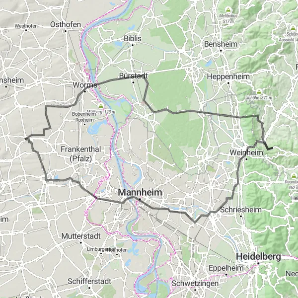 Karten-Miniaturansicht der Radinspiration "Rheinhessen-Pfalz Rundweg" in Rheinhessen-Pfalz, Germany. Erstellt vom Tarmacs.app-Routenplaner für Radtouren