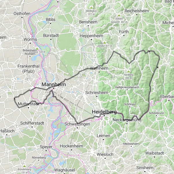 Map miniature of "Rheinhessen-Pfalz Extended Road Cycling Route" cycling inspiration in Rheinhessen-Pfalz, Germany. Generated by Tarmacs.app cycling route planner