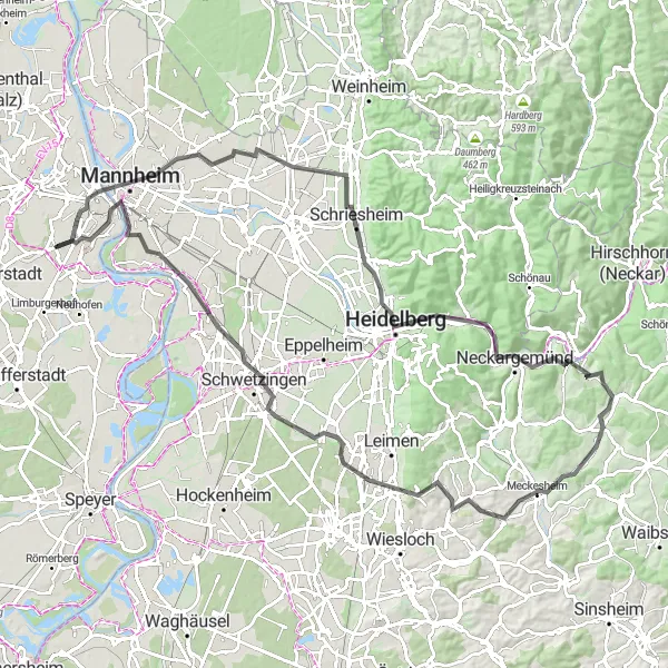 Map miniature of "Heidelberg and Beyond" cycling inspiration in Rheinhessen-Pfalz, Germany. Generated by Tarmacs.app cycling route planner