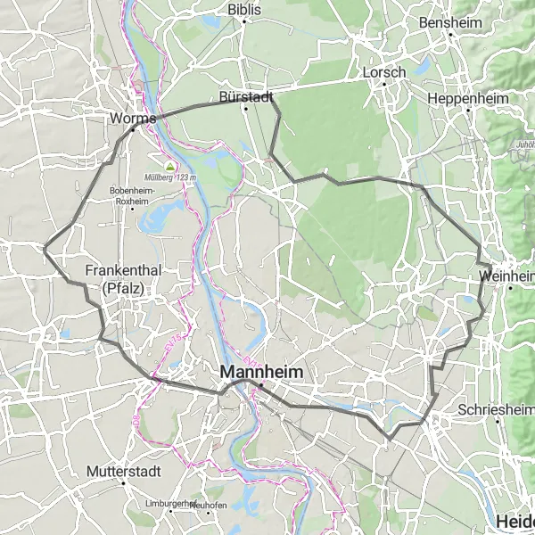 Karten-Miniaturansicht der Radinspiration "Rheinhessen und die Metropolregion Rhein-Neckar entdecken" in Rheinhessen-Pfalz, Germany. Erstellt vom Tarmacs.app-Routenplaner für Radtouren