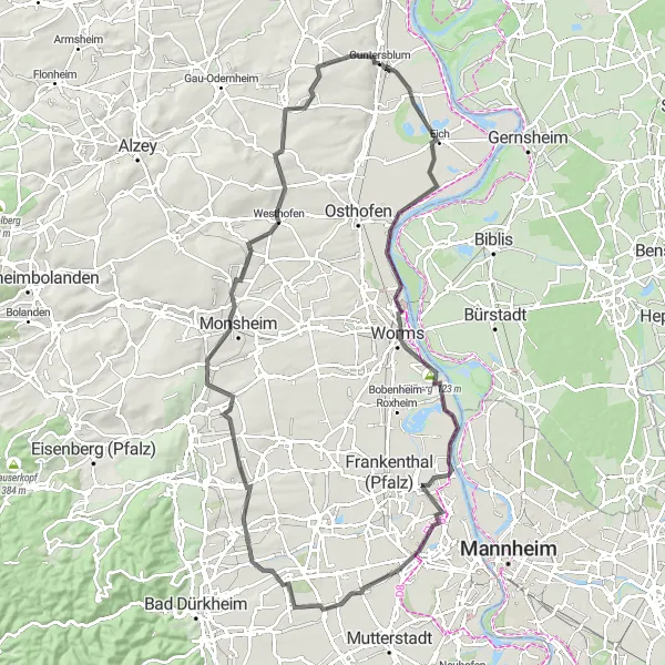 Map miniature of "The Rheinhessen-Pfalz Roundtrip" cycling inspiration in Rheinhessen-Pfalz, Germany. Generated by Tarmacs.app cycling route planner