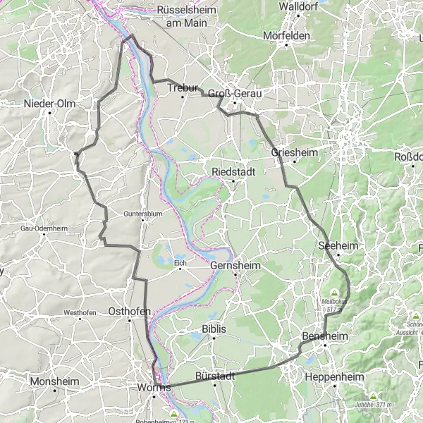 Map miniature of "The Rheinhessen-Pfalz Round-Trip Adventure" cycling inspiration in Rheinhessen-Pfalz, Germany. Generated by Tarmacs.app cycling route planner