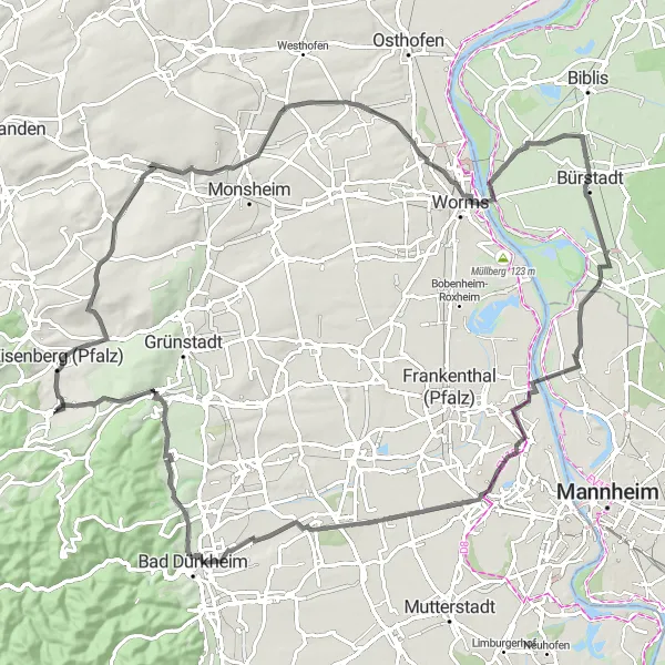 Karten-Miniaturansicht der Radinspiration "Weinberge und Geschichte" in Rheinhessen-Pfalz, Germany. Erstellt vom Tarmacs.app-Routenplaner für Radtouren